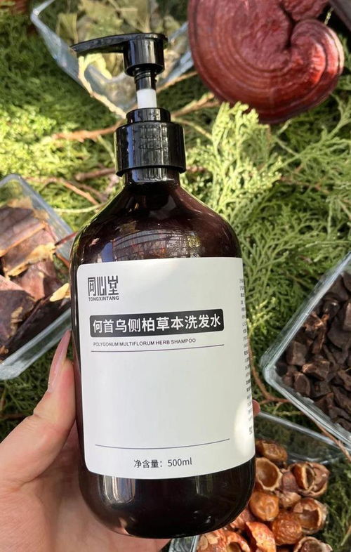 告別脫發(fā)困擾！2024平價防脫育發(fā)產(chǎn)品盤點，這四款值得一試